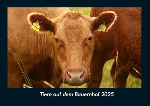 Tiere auf dem Bauernhof 2025 Fotokalender DIN A4: Monatskalender mit Bild-Motiven von Haustieren, Bauernhof, wilden Tieren und Raubtieren Tiere auf dem Bauernhof 2025 Fotokalender DIN A4: Monatskalender mit Bild-Motiven von Haustieren, Bauernhof, wilden Tieren und Raubtieren