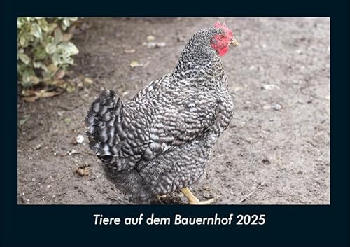Tiere auf dem Bauernhof 2025 Fotokalender DIN A4: Monatskalender mit Bild-Motiven von Haustieren, Bauernhof, wilden Tieren und Raubtieren Tiere auf dem Bauernhof 2025 Fotokalender DIN A4: Monatskalender mit Bild-Motiven von Haustieren, Bauernhof, wilden Tieren und Raubtieren