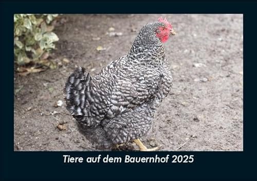 Tiere auf dem Bauernhof 2025 Fotokalender DIN A5: Monatskalender mit Bild-Motiven von Haustieren, Bauernhof, wilden Tieren und Raubtieren Tiere auf dem Bauernhof 2025 Fotokalender DIN A5: Monatskalender mit Bild-Motiven von Haustieren, Bauernhof, wilden Tieren und Raubtieren