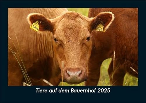 Tiere auf dem Bauernhof 2025 Fotokalender DIN A5: Monatskalender mit Bild-Motiven von Haustieren, Bauernhof, wilden Tieren und Raubtieren Tiere auf dem Bauernhof 2025 Fotokalender DIN A5: Monatskalender mit Bild-Motiven von Haustieren, Bauernhof, wilden Tieren und Raubtieren von Vero Kalender