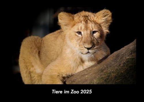 Tiere im Zoo 2025 Fotokalender DIN A3: Monatskalender mit Bild-Motiven von Haustieren, Bauernhof, wilden Tieren und Raubtieren Tiere im Zoo 2025 Fotokalender DIN A3: Monatskalender mit Bild-Motiven von Haustieren, Bauernhof, wilden Tieren und Raubtieren