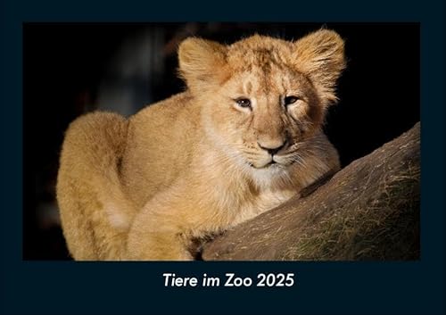 Tiere im Zoo 2025 Fotokalender DIN A4: Monatskalender mit Bild-Motiven von Haustieren, Bauernhof, wilden Tieren und Raubtieren