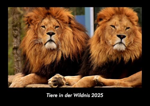 Tiere in der Wildnis 2025 Fotokalender DIN A3: Monatskalender mit Bild-Motiven von Haustieren, Bauernhof, wilden Tieren und Raubtieren Tiere in der Wildnis 2025 Fotokalender DIN A3: Monatskalender mit Bild-Motiven von Haustieren, Bauernhof, wilden Tieren und Raubtieren