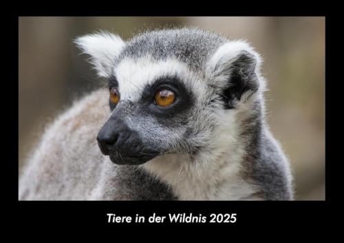 Tiere in der Wildnis 2025 Fotokalender DIN A3: Monatskalender mit Bild-Motiven von Haustieren, Bauernhof, wilden Tieren und Raubtieren Tiere in der Wildnis 2025 Fotokalender DIN A3: Monatskalender mit Bild-Motiven von Haustieren, Bauernhof, wilden Tieren und Raubtieren