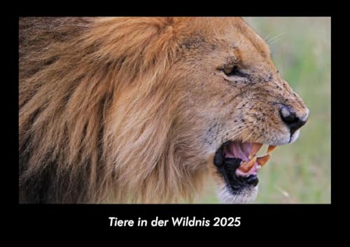 Tiere in der Wildnis 2025 Fotokalender DIN A3: Monatskalender mit Bild-Motiven von Haustieren, Bauernhof, wilden Tieren und Raubtieren Tiere in der Wildnis 2025 Fotokalender DIN A3: Monatskalender mit Bild-Motiven von Haustieren, Bauernhof, wilden Tieren und Raubtieren
