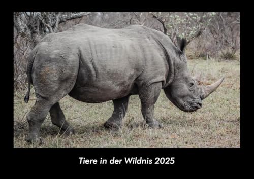 Tiere in der Wildnis 2025 Fotokalender DIN A3: Monatskalender mit Bild-Motiven von Haustieren, Bauernhof, wilden Tieren und Raubtieren Tiere in der Wildnis 2025 Fotokalender DIN A3: Monatskalender mit Bild-Motiven von Haustieren, Bauernhof, wilden Tieren und Raubtieren
