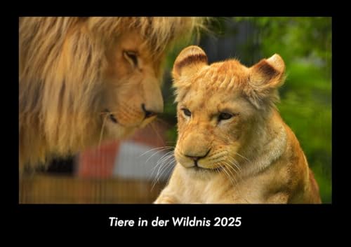 Tiere in der Wildnis 2025 Fotokalender DIN A3: Monatskalender mit Bild-Motiven von Haustieren, Bauernhof, wilden Tieren und Raubtieren Tiere in der Wildnis 2025 Fotokalender DIN A3: Monatskalender mit Bild-Motiven von Haustieren, Bauernhof, wilden Tieren und Raubtieren