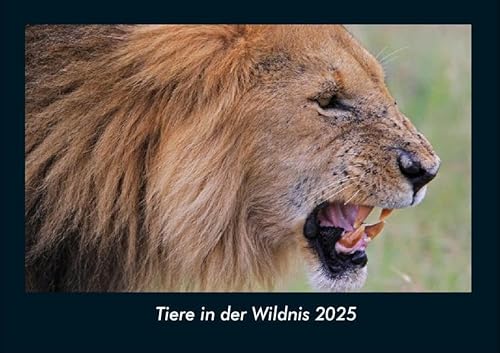 Tiere in der Wildnis 2025 Fotokalender DIN A4: Monatskalender mit Bild-Motiven von Haustieren, Bauernhof, wilden Tieren und Raubtieren Tiere in der Wildnis 2025 Fotokalender DIN A4: Monatskalender mit Bild-Motiven von Haustieren, Bauernhof, wilden Tieren und Raubtieren