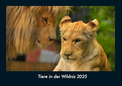 Tiere in der Wildnis 2025 Fotokalender DIN A4: Monatskalender mit Bild-Motiven von Haustieren, Bauernhof, wilden Tieren und Raubtieren Tiere in der Wildnis 2025 Fotokalender DIN A4: Monatskalender mit Bild-Motiven von Haustieren, Bauernhof, wilden Tieren und Raubtieren