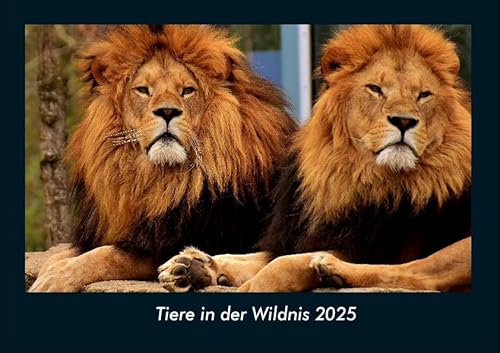 Tiere in der Wildnis 2025 Fotokalender DIN A4: Monatskalender mit Bild-Motiven von Haustieren, Bauernhof, wilden Tieren und Raubtieren Tiere in der Wildnis 2025 Fotokalender DIN A4: Monatskalender mit Bild-Motiven von Haustieren, Bauernhof, wilden Tieren und Raubtieren