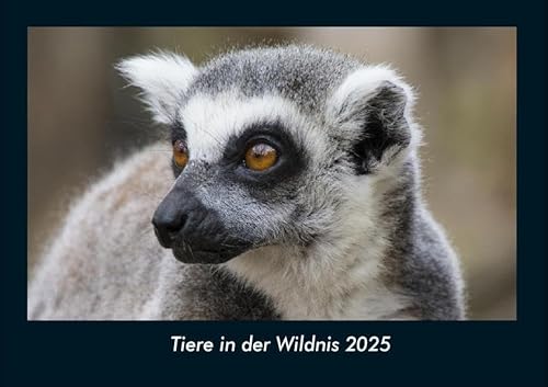 Tiere in der Wildnis 2025 Fotokalender DIN A4: Monatskalender mit Bild-Motiven von Haustieren, Bauernhof, wilden Tieren und Raubtieren Tiere in der Wildnis 2025 Fotokalender DIN A4: Monatskalender mit Bild-Motiven von Haustieren, Bauernhof, wilden Tieren und Raubtieren