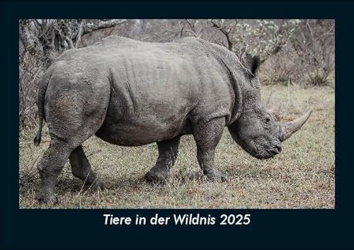 Tiere in der Wildnis 2025 Fotokalender DIN A5: Monatskalender mit Bild-Motiven von Haustieren, Bauernhof, wilden Tieren und Raubtieren Tiere in der Wildnis 2025 Fotokalender DIN A5: Monatskalender mit Bild-Motiven von Haustieren, Bauernhof, wilden Tieren und Raubtieren
