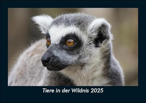 Tiere in der Wildnis 2025 Fotokalender DIN A5: Monatskalender mit Bild-Motiven von Haustieren, Bauernhof, wilden Tieren und Raubtieren Tiere in der Wildnis 2025 Fotokalender DIN A5: Monatskalender mit Bild-Motiven von Haustieren, Bauernhof, wilden Tieren und Raubtieren
