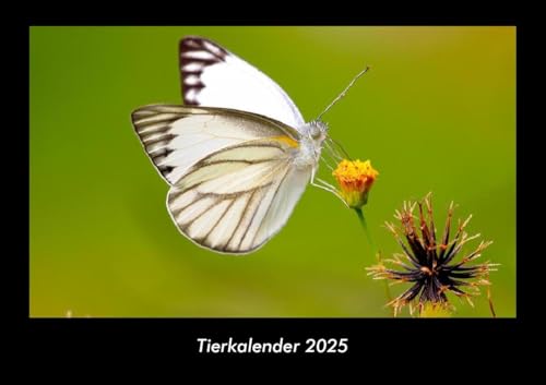 Tierkalender 2025 Fotokalender DIN A3: Monatskalender mit Bild-Motiven von Haustieren, Bauernhof, wilden Tieren und Raubtieren Tierkalender 2025 Fotokalender DIN A3: Monatskalender mit Bild-Motiven von Haustieren, Bauernhof, wilden Tieren und Raubtieren