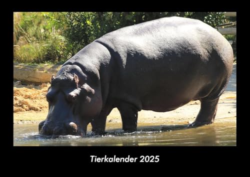 Tierkalender 2025 Fotokalender DIN A3: Monatskalender mit Bild-Motiven von Haustieren, Bauernhof, wilden Tieren und Raubtieren Tierkalender 2025 Fotokalender DIN A3: Monatskalender mit Bild-Motiven von Haustieren, Bauernhof, wilden Tieren und Raubtieren
