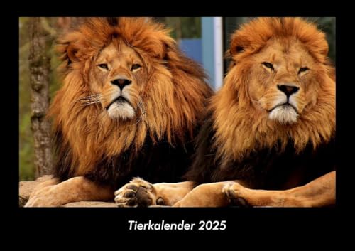 Tierkalender 2025 Fotokalender DIN A3: Monatskalender mit Bild-Motiven von Haustieren, Bauernhof, wilden Tieren und Raubtieren Tierkalender 2025 Fotokalender DIN A3: Monatskalender mit Bild-Motiven von Haustieren, Bauernhof, wilden Tieren und Raubtieren
