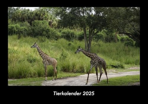Tierkalender 2025 Fotokalender DIN A3: Monatskalender mit Bild-Motiven von Haustieren, Bauernhof, wilden Tieren und Raubtieren Tierkalender 2025 Fotokalender DIN A3: Monatskalender mit Bild-Motiven von Haustieren, Bauernhof, wilden Tieren und Raubtieren