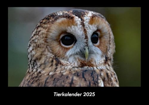 Tierkalender 2025 Fotokalender DIN A3: Monatskalender mit Bild-Motiven von Haustieren, Bauernhof, wilden Tieren und Raubtieren Tierkalender 2025 Fotokalender DIN A3: Monatskalender mit Bild-Motiven von Haustieren, Bauernhof, wilden Tieren und Raubtieren