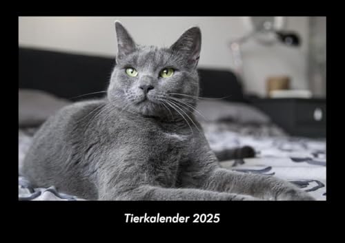 Tierkalender 2025 Fotokalender DIN A3: Monatskalender mit Bild-Motiven von Haustieren, Bauernhof, wilden Tieren und Raubtieren Tierkalender 2025 Fotokalender DIN A3: Monatskalender mit Bild-Motiven von Haustieren, Bauernhof, wilden Tieren und Raubtieren