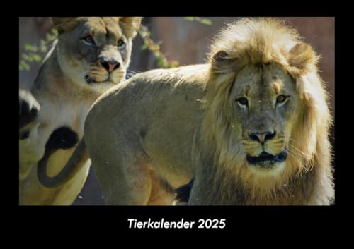 Tierkalender 2025 Fotokalender DIN A3: Monatskalender mit Bild-Motiven von Haustieren, Bauernhof, wilden Tieren und Raubtieren Tierkalender 2025 Fotokalender DIN A3: Monatskalender mit Bild-Motiven von Haustieren, Bauernhof, wilden Tieren und Raubtieren