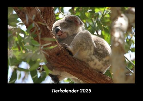 Tierkalender 2025 Fotokalender DIN A3: Monatskalender mit Bild-Motiven von Haustieren, Bauernhof, wilden Tieren und Raubtieren Tierkalender 2025 Fotokalender DIN A3: Monatskalender mit Bild-Motiven von Haustieren, Bauernhof, wilden Tieren und Raubtieren