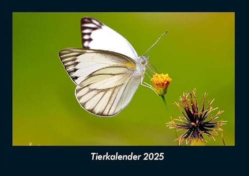 Tierkalender 2025 Fotokalender DIN A4: Monatskalender mit Bild-Motiven von Haustieren, Bauernhof, wilden Tieren und Raubtieren Tierkalender 2025 Fotokalender DIN A4: Monatskalender mit Bild-Motiven von Haustieren, Bauernhof, wilden Tieren und Raubtieren
