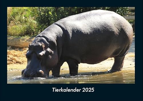 Tierkalender 2025 Fotokalender DIN A4: Monatskalender mit Bild-Motiven von Haustieren, Bauernhof, wilden Tieren und Raubtieren Tierkalender 2025 Fotokalender DIN A4: Monatskalender mit Bild-Motiven von Haustieren, Bauernhof, wilden Tieren und Raubtieren