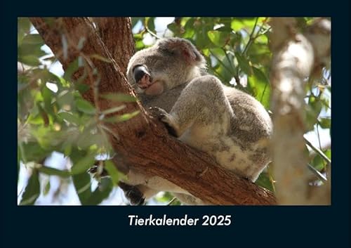 Tierkalender 2025 Fotokalender DIN A4: Monatskalender mit Bild-Motiven von Haustieren, Bauernhof, wilden Tieren und Raubtieren Tierkalender 2025 Fotokalender DIN A4: Monatskalender mit Bild-Motiven von Haustieren, Bauernhof, wilden Tieren und Raubtieren