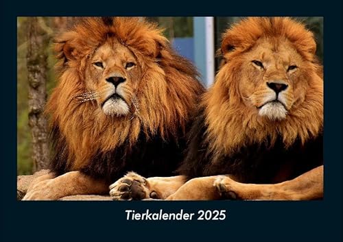 Tierkalender 2025 Fotokalender DIN A4: Monatskalender mit Bild-Motiven von Haustieren, Bauernhof, wilden Tieren und Raubtieren Tierkalender 2025 Fotokalender DIN A4: Monatskalender mit Bild-Motiven von Haustieren, Bauernhof, wilden Tieren und Raubtieren