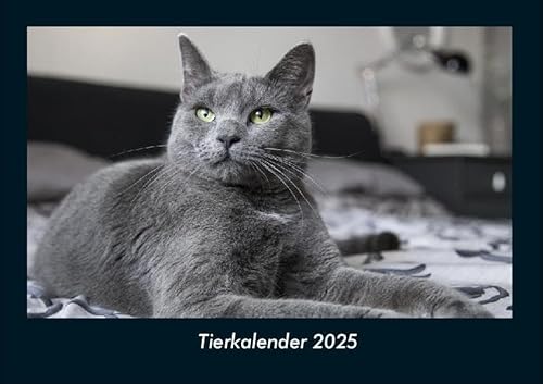 Tierkalender 2025 Fotokalender DIN A4: Monatskalender mit Bild-Motiven von Haustieren, Bauernhof, wilden Tieren und Raubtieren Tierkalender 2025 Fotokalender DIN A4: Monatskalender mit Bild-Motiven von Haustieren, Bauernhof, wilden Tieren und Raubtieren