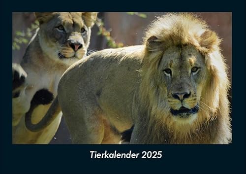 Tierkalender 2025 Fotokalender DIN A4: Monatskalender mit Bild-Motiven von Haustieren, Bauernhof, wilden Tieren und Raubtieren Tierkalender 2025 Fotokalender DIN A4: Monatskalender mit Bild-Motiven von Haustieren, Bauernhof, wilden Tieren und Raubtieren