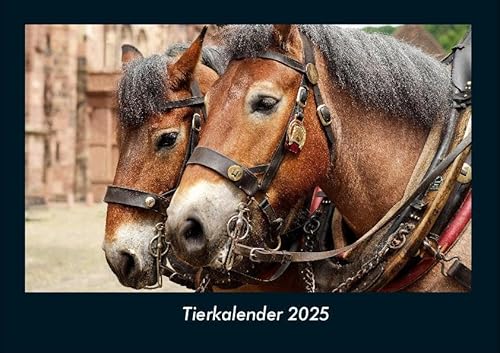 Tierkalender 2025 Fotokalender DIN A4: Monatskalender mit Bild-Motiven von Haustieren, Bauernhof, wilden Tieren und Raubtieren Tierkalender 2025 Fotokalender DIN A4: Monatskalender mit Bild-Motiven von Haustieren, Bauernhof, wilden Tieren und Raubtieren