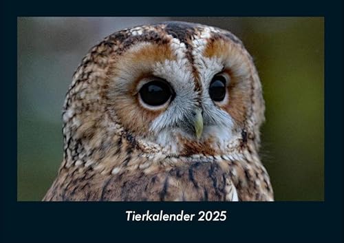 Tierkalender 2025 Fotokalender DIN A4: Monatskalender mit Bild-Motiven von Haustieren, Bauernhof, wilden Tieren und Raubtieren Tierkalender 2025 Fotokalender DIN A4: Monatskalender mit Bild-Motiven von Haustieren, Bauernhof, wilden Tieren und Raubtieren