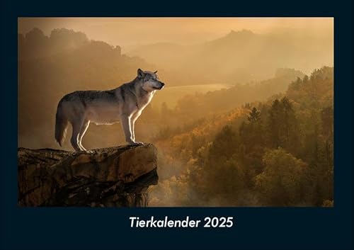Tierkalender 2025 Fotokalender DIN A4: Monatskalender mit Bild-Motiven von Haustieren, Bauernhof, wilden Tieren und Raubtieren Tierkalender 2025 Fotokalender DIN A4: Monatskalender mit Bild-Motiven von Haustieren, Bauernhof, wilden Tieren und Raubtieren