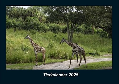 Tierkalender 2025 Fotokalender DIN A4: Monatskalender mit Bild-Motiven von Haustieren, Bauernhof, wilden Tieren und Raubtieren Tierkalender 2025 Fotokalender DIN A4: Monatskalender mit Bild-Motiven von Haustieren, Bauernhof, wilden Tieren und Raubtieren