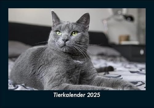 Tierkalender 2025 Fotokalender DIN A5: Monatskalender mit Bild-Motiven von Haustieren, Bauernhof, wilden Tieren und Raubtieren Tierkalender 2025 Fotokalender DIN A5: Monatskalender mit Bild-Motiven von Haustieren, Bauernhof, wilden Tieren und Raubtieren
