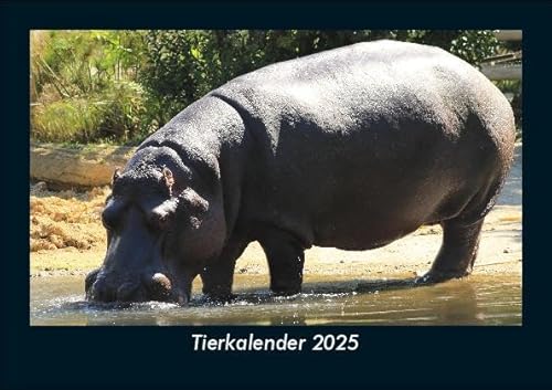 Tierkalender 2025 Fotokalender DIN A5: Monatskalender mit Bild-Motiven von Haustieren, Bauernhof, wilden Tieren und Raubtieren Tierkalender 2025 Fotokalender DIN A5: Monatskalender mit Bild-Motiven von Haustieren, Bauernhof, wilden Tieren und Raubtieren