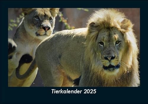 Tierkalender 2025 Fotokalender DIN A5: Monatskalender mit Bild-Motiven von Haustieren, Bauernhof, wilden Tieren und Raubtieren Tierkalender 2025 Fotokalender DIN A5: Monatskalender mit Bild-Motiven von Haustieren, Bauernhof, wilden Tieren und Raubtieren