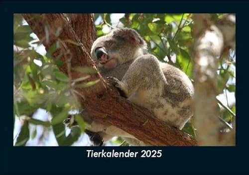 Tierkalender 2025 Fotokalender DIN A5: Monatskalender mit Bild-Motiven von Haustieren, Bauernhof, wilden Tieren und Raubtieren Tierkalender 2025 Fotokalender DIN A5: Monatskalender mit Bild-Motiven von Haustieren, Bauernhof, wilden Tieren und Raubtieren