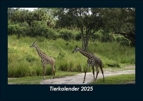 Tierkalender 2025 Fotokalender DIN A5: Monatskalender mit Bild-Motiven von Haustieren, Bauernhof, wilden Tieren und Raubtieren Tierkalender 2025 Fotokalender DIN A5: Monatskalender mit Bild-Motiven von Haustieren, Bauernhof, wilden Tieren und Raubtieren