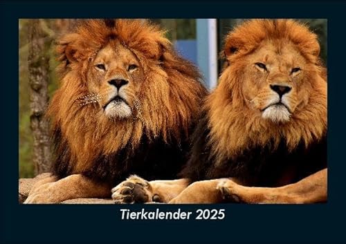 Tierkalender 2025 Fotokalender DIN A5: Monatskalender mit Bild-Motiven von Haustieren, Bauernhof, wilden Tieren und Raubtieren Tierkalender 2025 Fotokalender DIN A5: Monatskalender mit Bild-Motiven von Haustieren, Bauernhof, wilden Tieren und Raubtieren