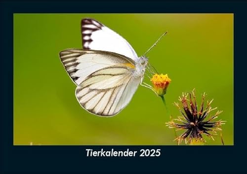 Tierkalender 2025 Fotokalender DIN A5: Monatskalender mit Bild-Motiven von Haustieren, Bauernhof, wilden Tieren und Raubtieren Tierkalender 2025 Fotokalender DIN A5: Monatskalender mit Bild-Motiven von Haustieren, Bauernhof, wilden Tieren und Raubtieren