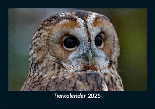 Tierkalender 2025 Fotokalender DIN A5: Monatskalender mit Bild-Motiven von Haustieren, Bauernhof, wilden Tieren und Raubtieren Tierkalender 2025 Fotokalender DIN A5: Monatskalender mit Bild-Motiven von Haustieren, Bauernhof, wilden Tieren und Raubtieren