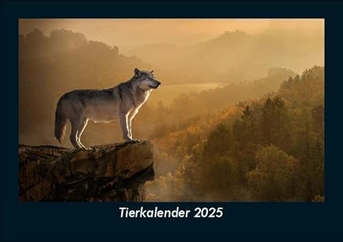 Tierkalender 2025 Fotokalender DIN A5: Monatskalender mit Bild-Motiven von Haustieren, Bauernhof, wilden Tieren und Raubtieren Tierkalender 2025 Fotokalender DIN A5: Monatskalender mit Bild-Motiven von Haustieren, Bauernhof, wilden Tieren und Raubtieren
