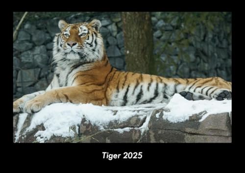 Tiger 2025 Fotokalender DIN A3: Monatskalender mit Bild-Motiven von Haustieren, Bauernhof, wilden Tieren und Raubtieren Tiger 2025 Fotokalender DIN A3: Monatskalender mit Bild-Motiven von Haustieren, Bauernhof, wilden Tieren und Raubtieren