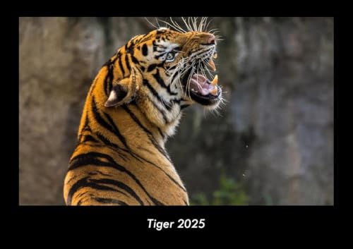 Tiger 2025 Fotokalender DIN A3: Monatskalender mit Bild-Motiven von Haustieren, Bauernhof, wilden Tieren und Raubtieren Tiger 2025 Fotokalender DIN A3: Monatskalender mit Bild-Motiven von Haustieren, Bauernhof, wilden Tieren und Raubtieren
