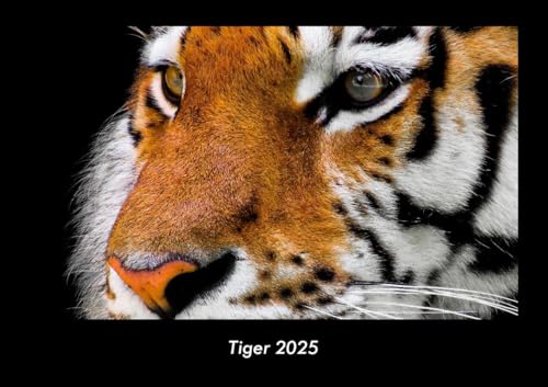 Tiger 2025 Fotokalender DIN A3: Monatskalender mit Bild-Motiven von Haustieren, Bauernhof, wilden Tieren und Raubtieren Tiger 2025 Fotokalender DIN A3: Monatskalender mit Bild-Motiven von Haustieren, Bauernhof, wilden Tieren und Raubtieren