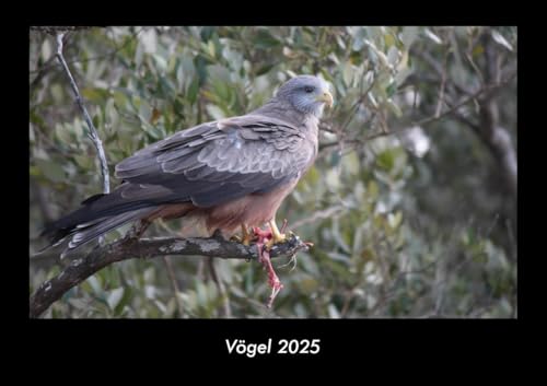 Vögel 2025 Fotokalender DIN A3: Monatskalender mit Bild-Motiven von Haustieren, Bauernhof, wilden Tieren und Raubtieren Vögel 2025 Fotokalender DIN A3: Monatskalender mit Bild-Motiven von Haustieren, Bauernhof, wilden Tieren und Raubtieren
