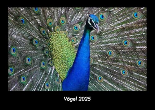 Vögel 2025 Fotokalender DIN A3: Monatskalender mit Bild-Motiven von Haustieren, Bauernhof, wilden Tieren und Raubtieren Vögel 2025 Fotokalender DIN A3: Monatskalender mit Bild-Motiven von Haustieren, Bauernhof, wilden Tieren und Raubtieren