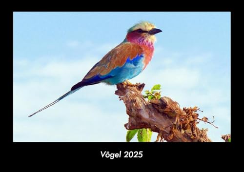 Vögel 2025 Fotokalender DIN A3: Monatskalender mit Bild-Motiven von Haustieren, Bauernhof, wilden Tieren und Raubtieren Vögel 2025 Fotokalender DIN A3: Monatskalender mit Bild-Motiven von Haustieren, Bauernhof, wilden Tieren und Raubtieren